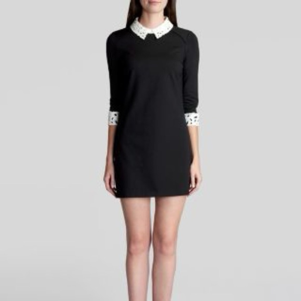 Ted Baker London Currie Lace Collar Tunic - Picture 2 of 5
